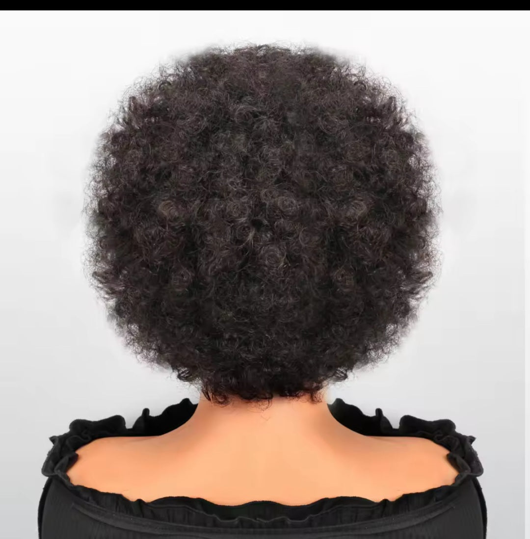 Lace Frontal Braided Human Hair Wig