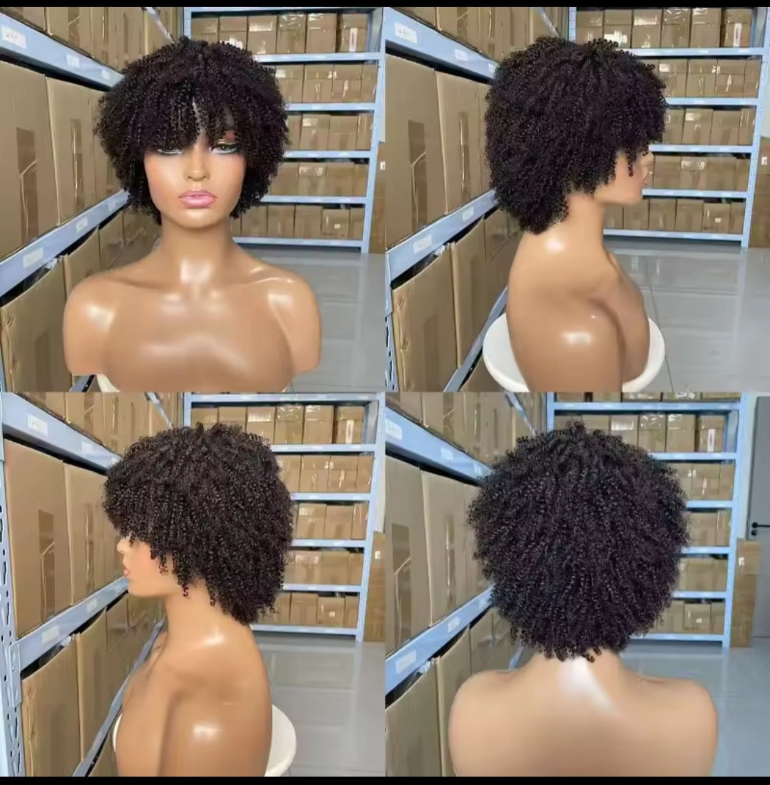 Human Hair Afro Kinky Wig