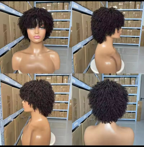 Human Hair Afro Kinky Wig