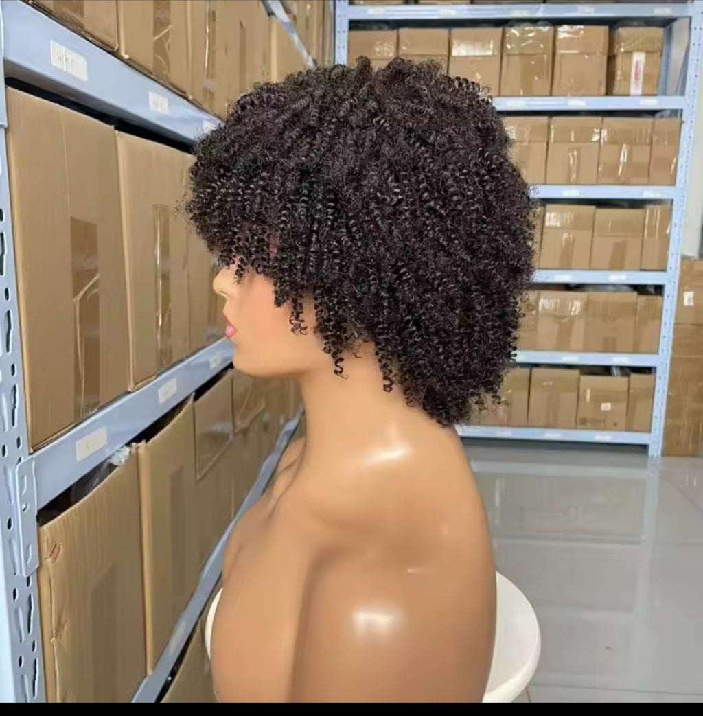 Human Hair Afro Kinky Wig