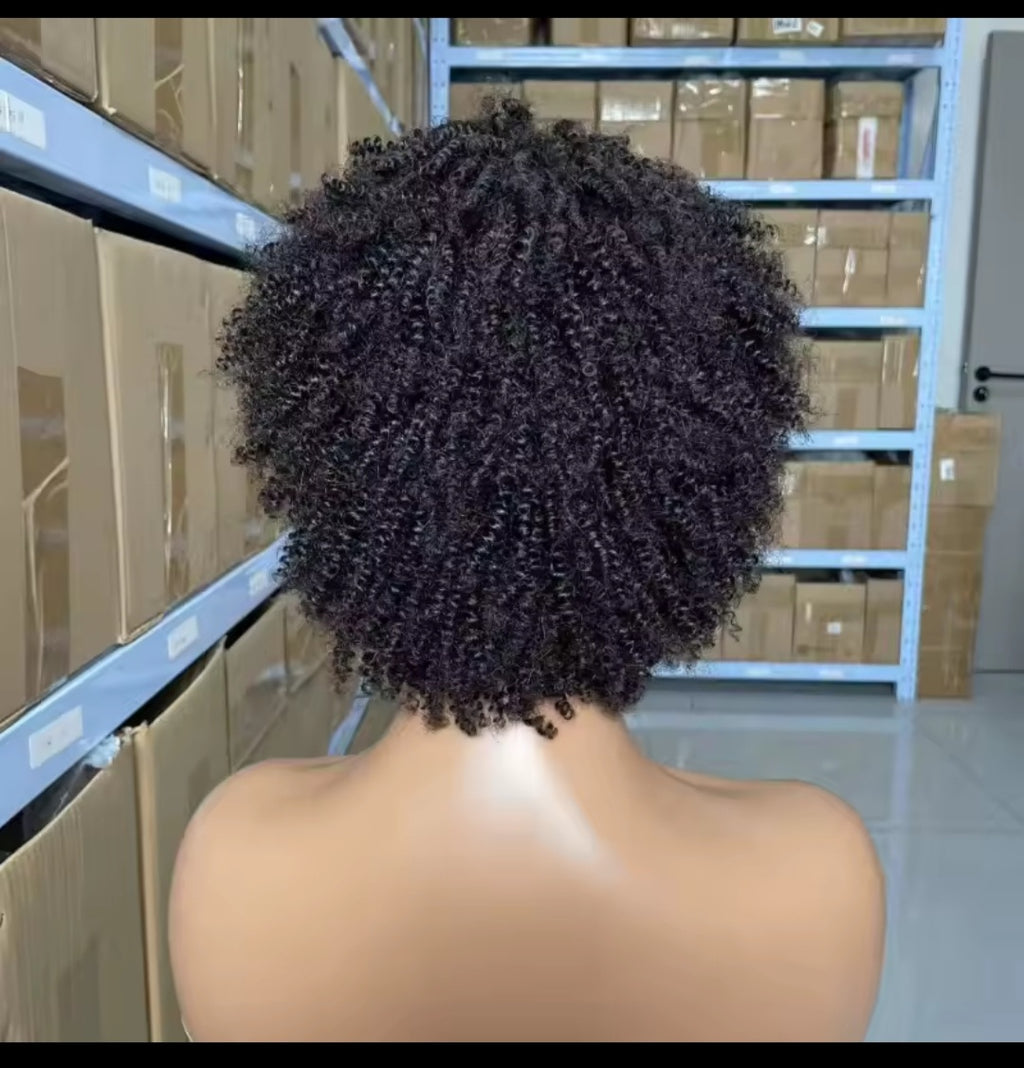 Human Hair Afro Kinky Wig