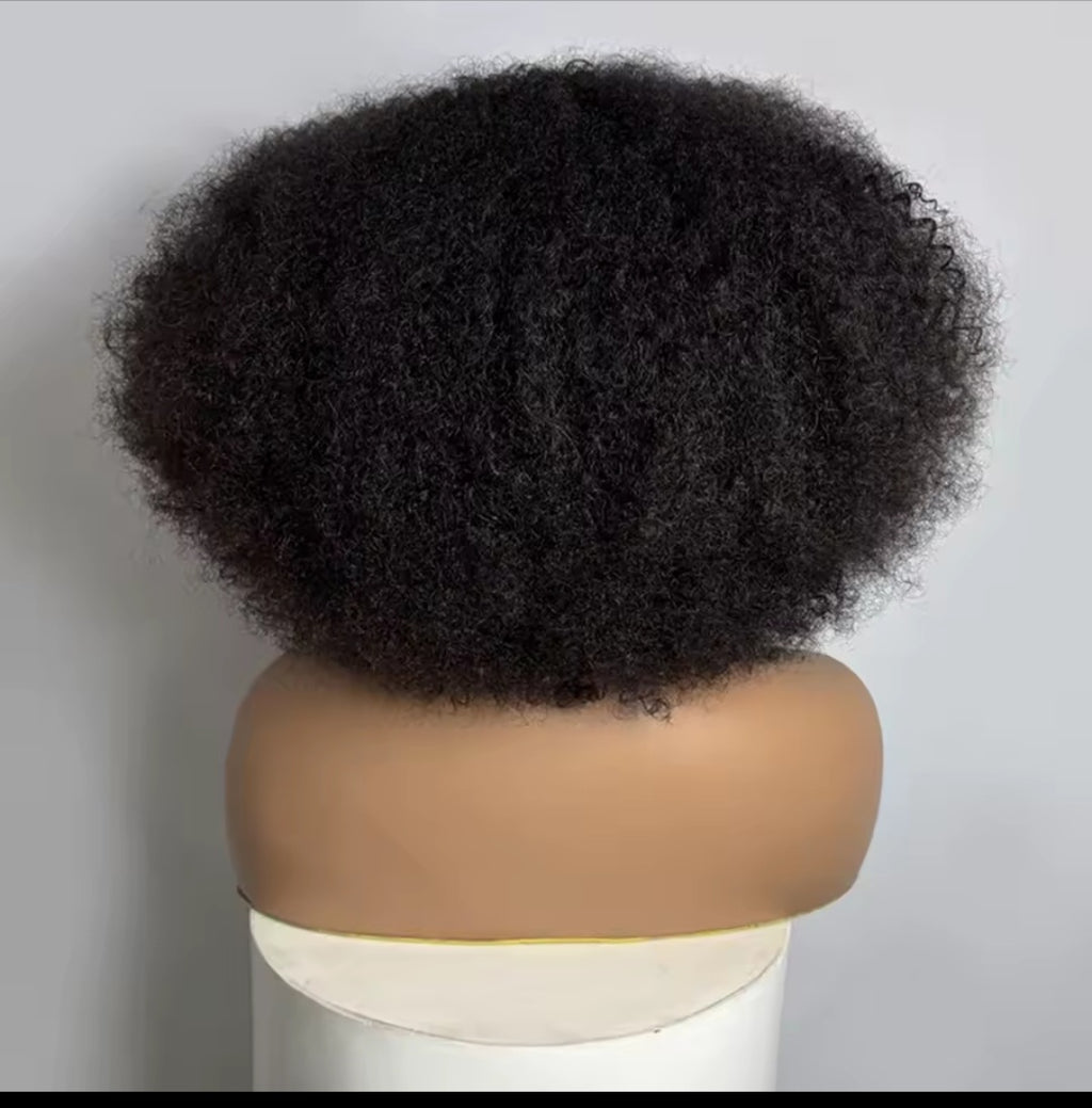 Human Hair Lace Front Afro Kinky Curly Wig