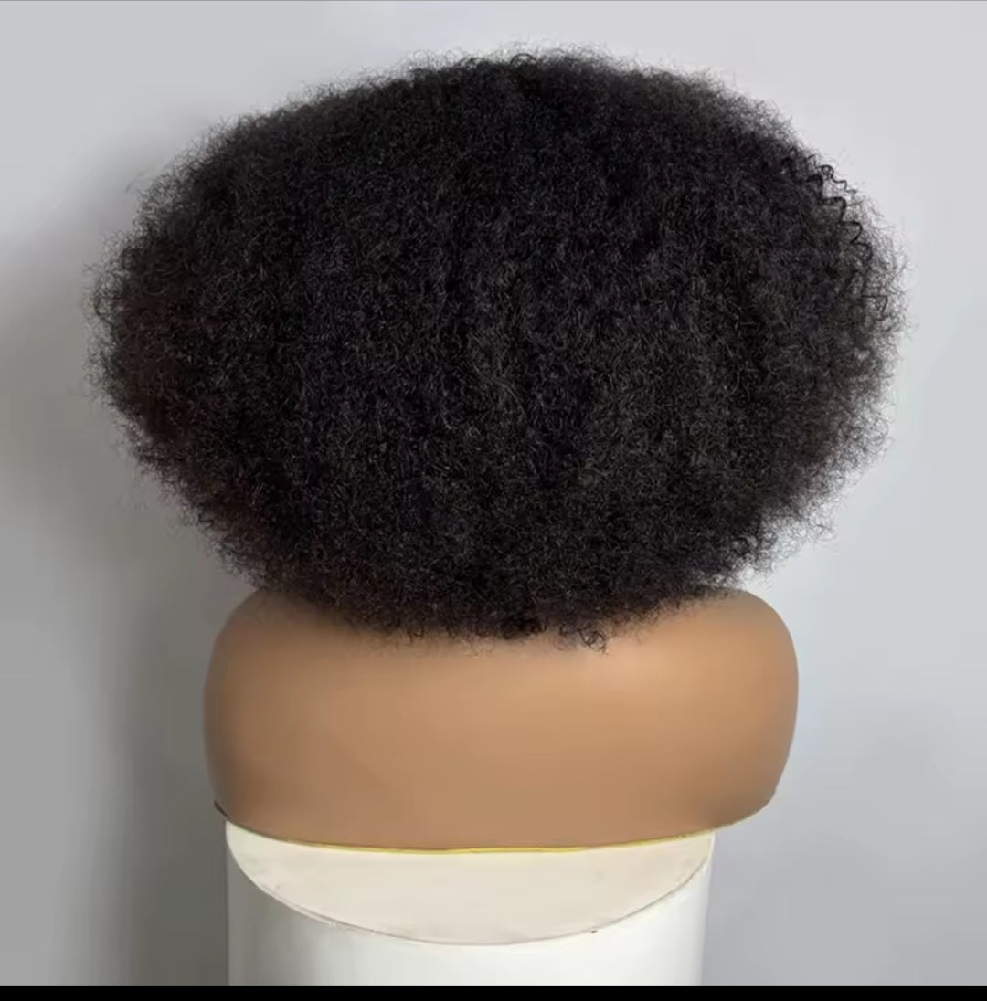 Human Hair Lace Front Afro Kinky Curly Wig