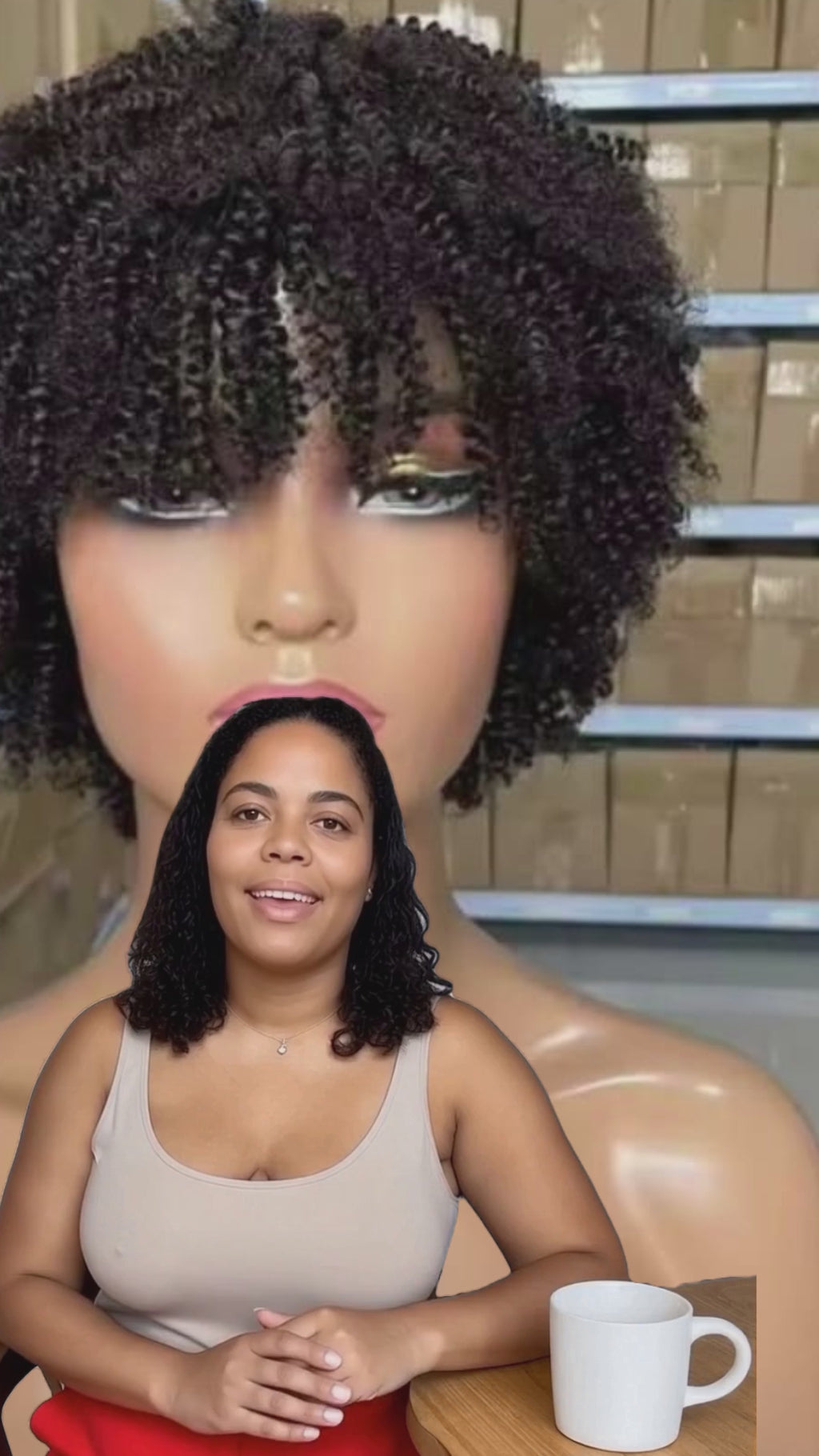 Human Hair Afro Kinky Wig